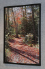 Peaceful Pathway - Canvas Giclee Floater Framed 25.75" x 37.75"